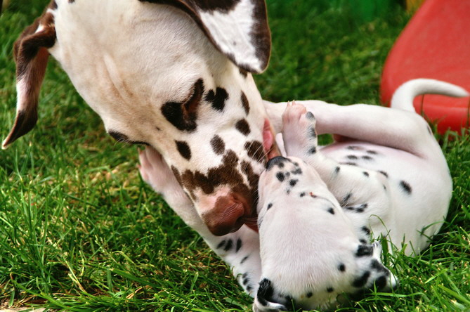 PICT4758_Bildgr��e �ndern