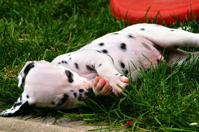 PICT4759_Bildgr��e �ndern