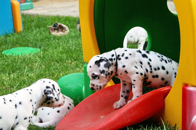 PICT4767_schwarz_Bildgr��e �ndern