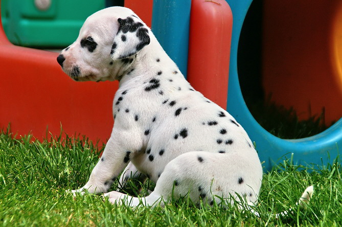 PICT4772_Bildgr��e �ndern