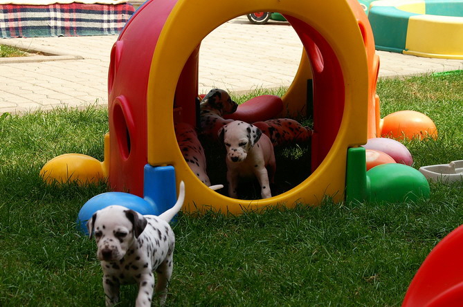 PICT4780_Bildgr��e �ndern