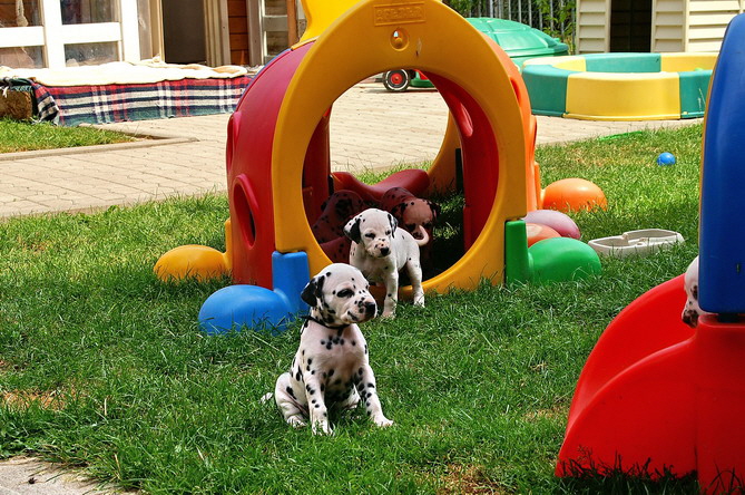 PICT4786_Bildgr��e �ndern