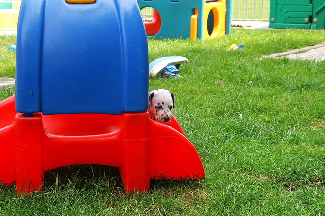 PICT4788_Bildgr��e �ndern