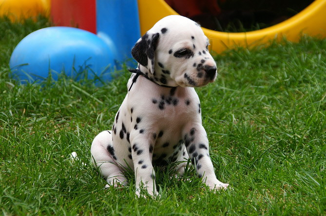 PICT4790_Bildgr��e �ndern