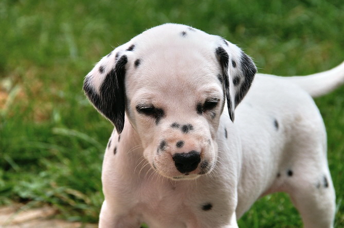 PICT4794_Plttchen_Bildgr��e �ndern