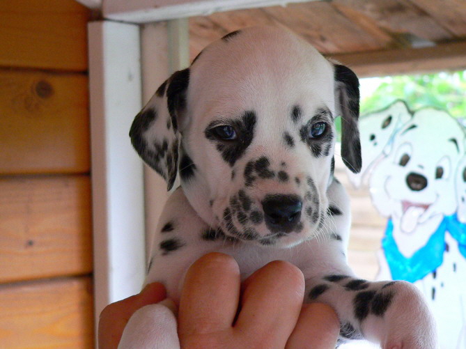 P1200065schwarz ko_Bildgr��e �ndern