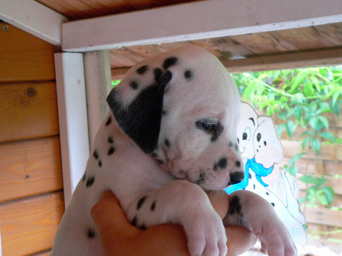 P1200071pl�ttchen ko_Bildgr��e �ndern