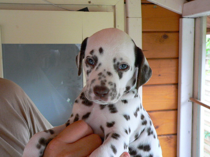 P1200095esther ko_Bildgr��e �ndern