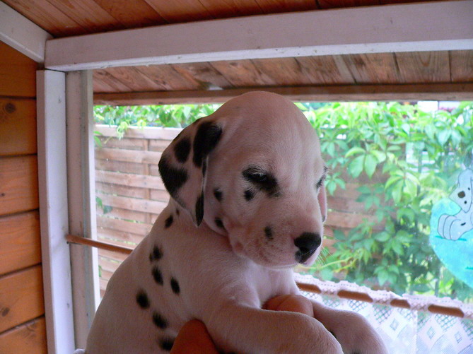 P1200114ernie ko_Bildgr��e �ndern