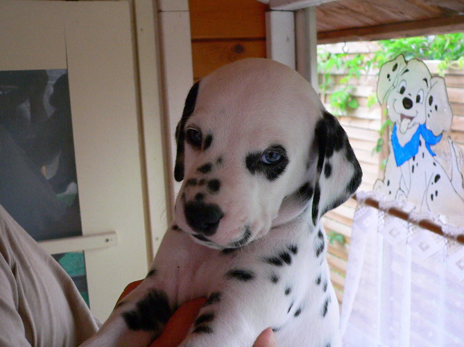 P1200122eiko ko_Bildgr��e �ndern