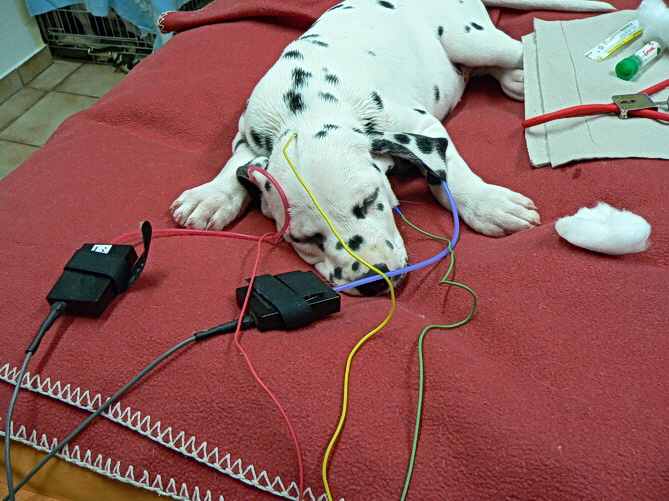 P1200353Emma_Bildgr��e �ndern