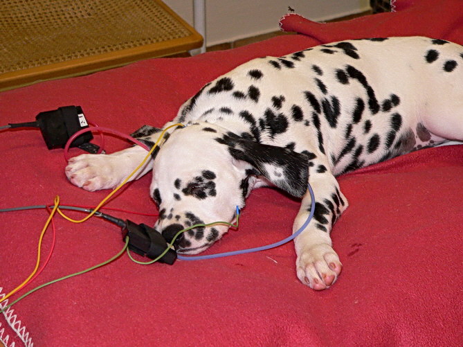 P1200356Emma-Sams_Bildgr��e �ndern