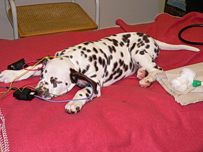 P1200363Esther_Bildgr��e �ndern