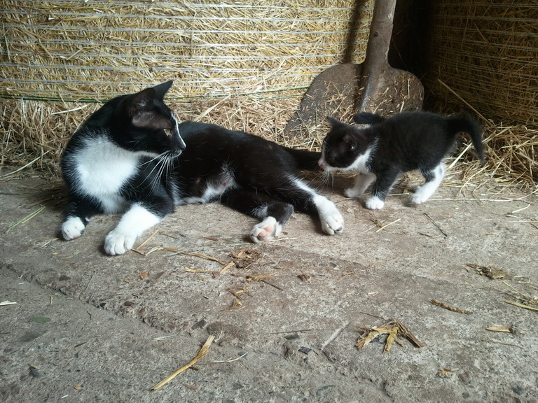 20120820_115303_Bildgröße ändern 20120820_115303_Bildgröße ändern